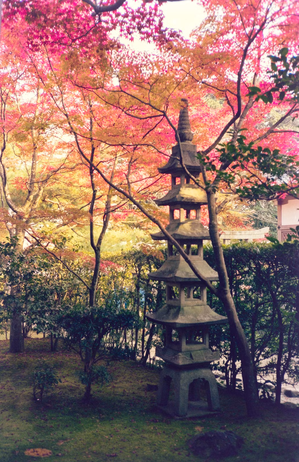 Tòa tháp đá chùa Nison-in trầm mặc dưới vầng lá đỏ.