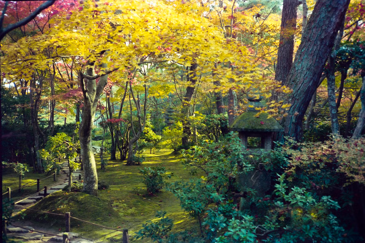 Một góc vườn chùa Jojakko-ji.