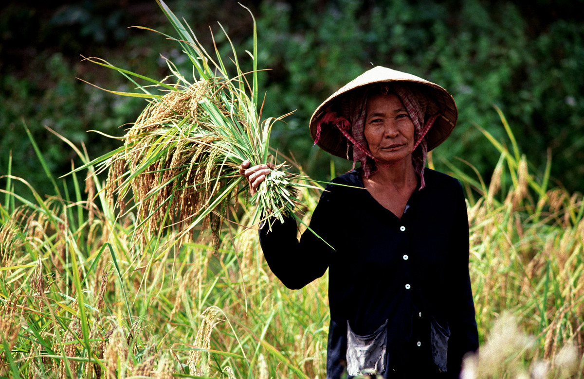 Chân dung người nông dân Siem Reap.
