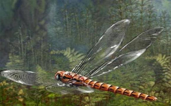 Khung long co the chua bi tuyet chung, tien hoa loai moi