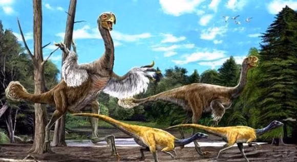 Khung long co the chua bi tuyet chung, tien hoa loai moi-Hinh-6