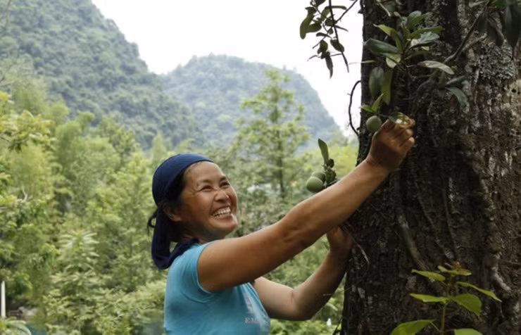 Xua moc dai khong ai hai, nay dan hai ban 400.000/kg thanh dac san noi tieng-Hinh-7