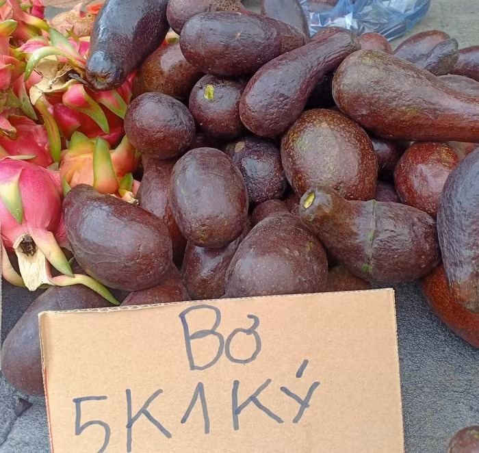 Đào, mận Trung Quốc ngập chợ, giá cao hơn hoa quả nội địa vẫn hút khách mua ảnh 1 Đào, mận Trung Quốc ngập chợ, giá cao hơn hoa quả nội địa vẫn hút khách mua ảnh 1