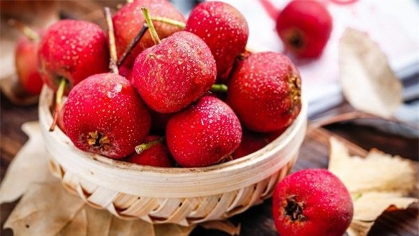 5 loại quả không ngọt nhưng nhiều đường, làm cân tăng vọt ảnh 4 5 loại quả không ngọt nhưng nhiều đường, làm cân tăng vọt ảnh 4