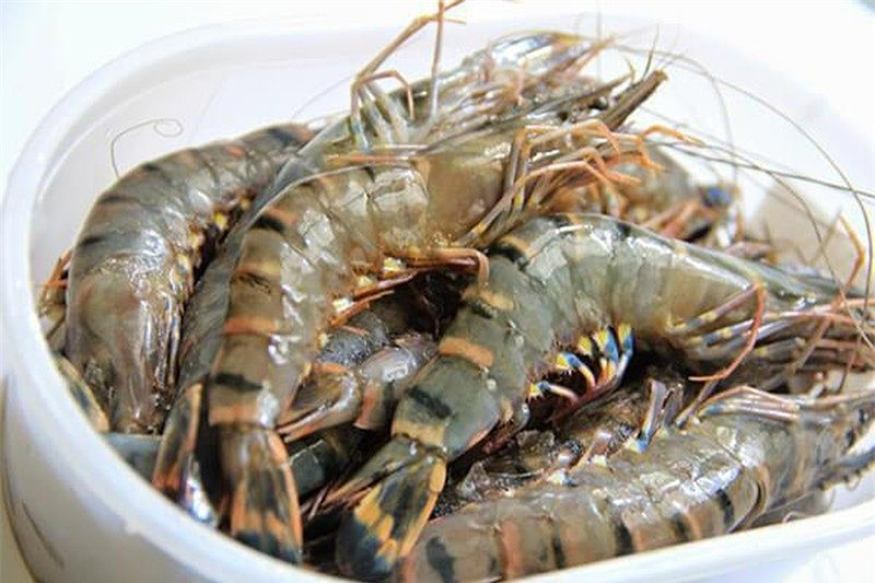 Tôm bảo quản thế nào để cả tháng vẫn “tươi roi rói”? - Hình 4 Tom bao quan the nao de ca thang van “tuoi roi roi”?-Hinh-4