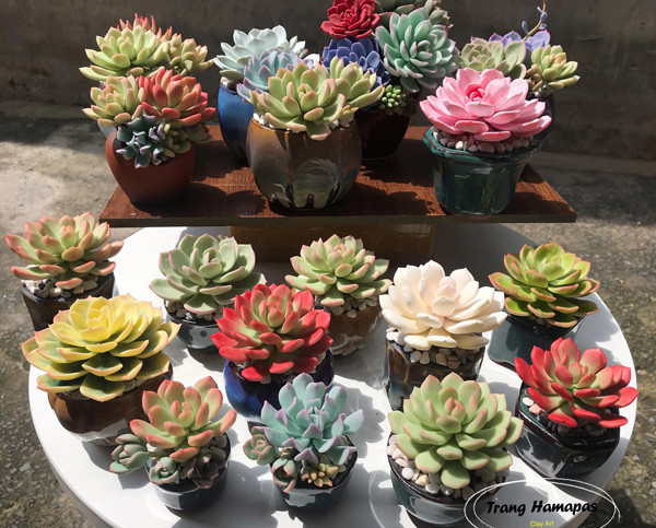 Làm hoa hồng bất tử rồi bán giá tới vài triệu đồng/sản phẩm - Hình 5 Lam hoa hong bat tu roi ban gia toi vai trieu dong/san pham-Hinh-5