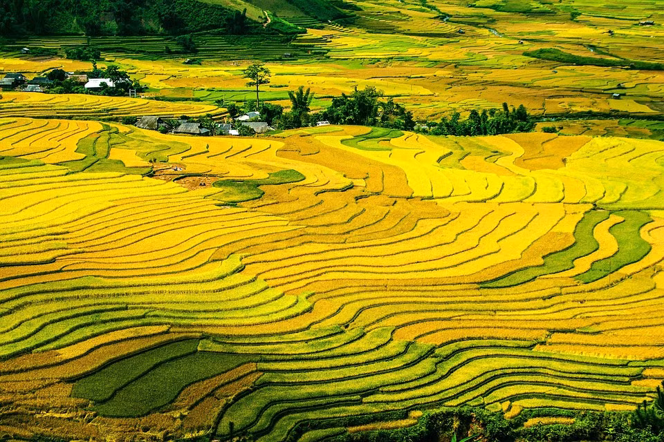 Thoi tiet cang mat me, van khi cua 4 con giap nay cang khoi sac