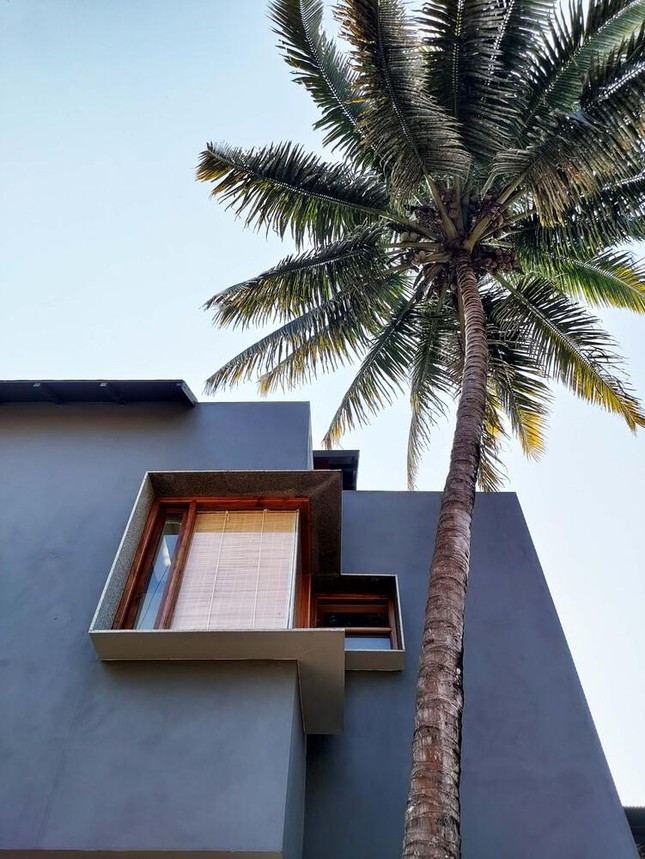 Khu vườn lớn bao quanh phòng khách, nhà bếp và phòng ngủ. Khu vườn cũng đóng một vai trò rất quan trọng trong việc cung cấp ánh sáng và thông gió cho toàn bộ ngôi nhà.