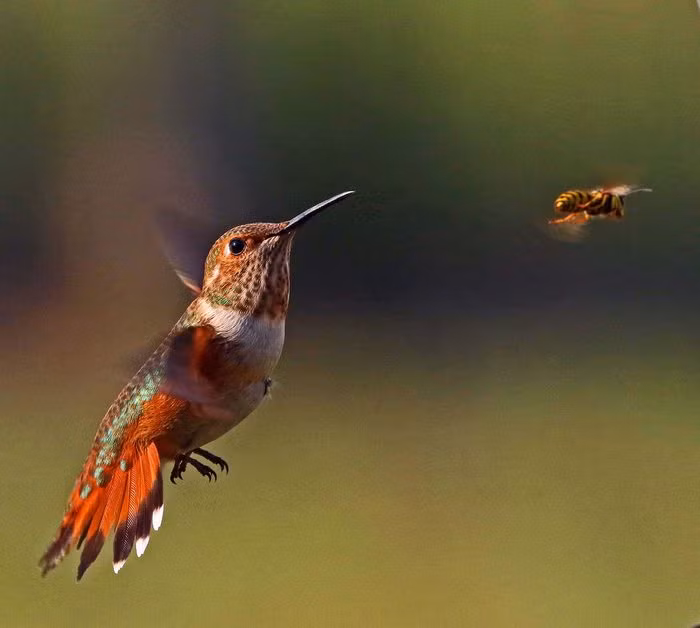 Sinh ngay Am lich nay nhat dinh giau co vi ho biet kiem tien, con chi tieu hop ly-Hinh-3