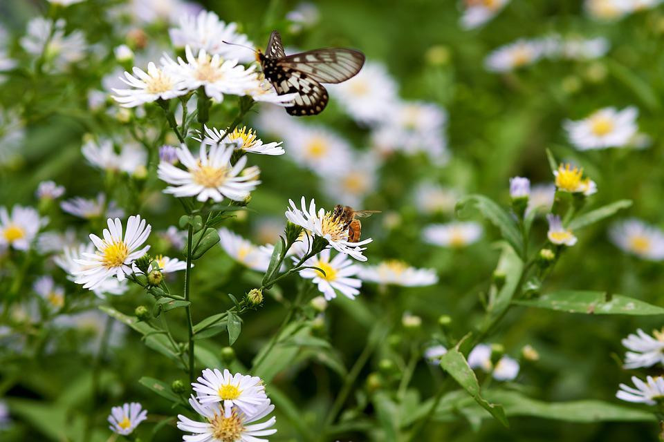 Vuot qua mua gio, nguoi sinh ngay Am lich nay don tuong lai tuoi sang-Hinh-4