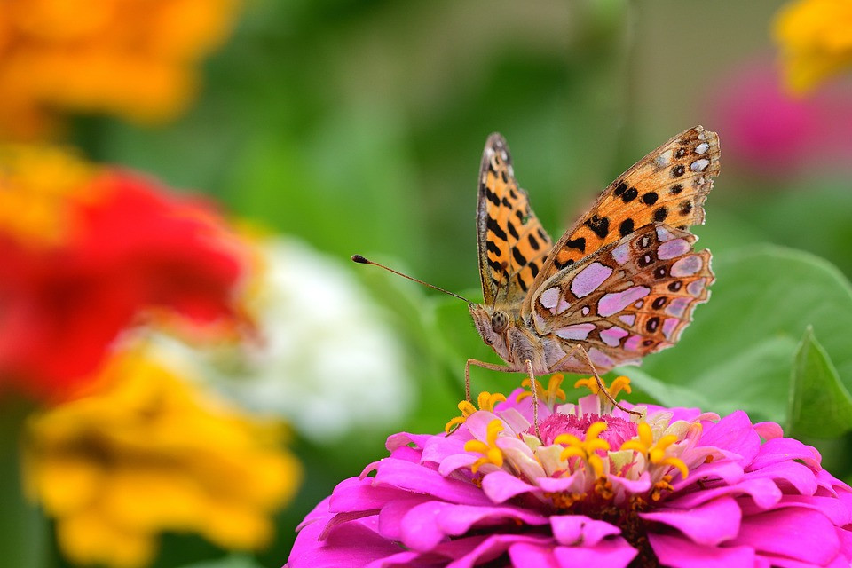 Vuot qua mua gio, nguoi sinh ngay Am lich nay don tuong lai tuoi sang-Hinh-3