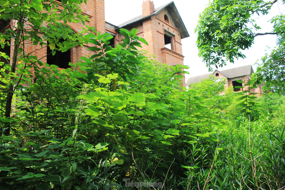 Mặc dù vậy, các biệt thự bỏ hoang trên địa bàn tỉnh Bắc Ninh vẫn liên tục được rao bán với giá cao. Ví dụ, qua khảo sát, giá biệt thự xây thô bỏ hoang ở Khu đô thị Hoàn Sơn đang có giá 31 - 33 triệu đồng/m2, còn biệt thự tại Khu đô thị Phúc Ninh có giá 42 - 48 triệu đồng/m2, tùy vị trí căn.