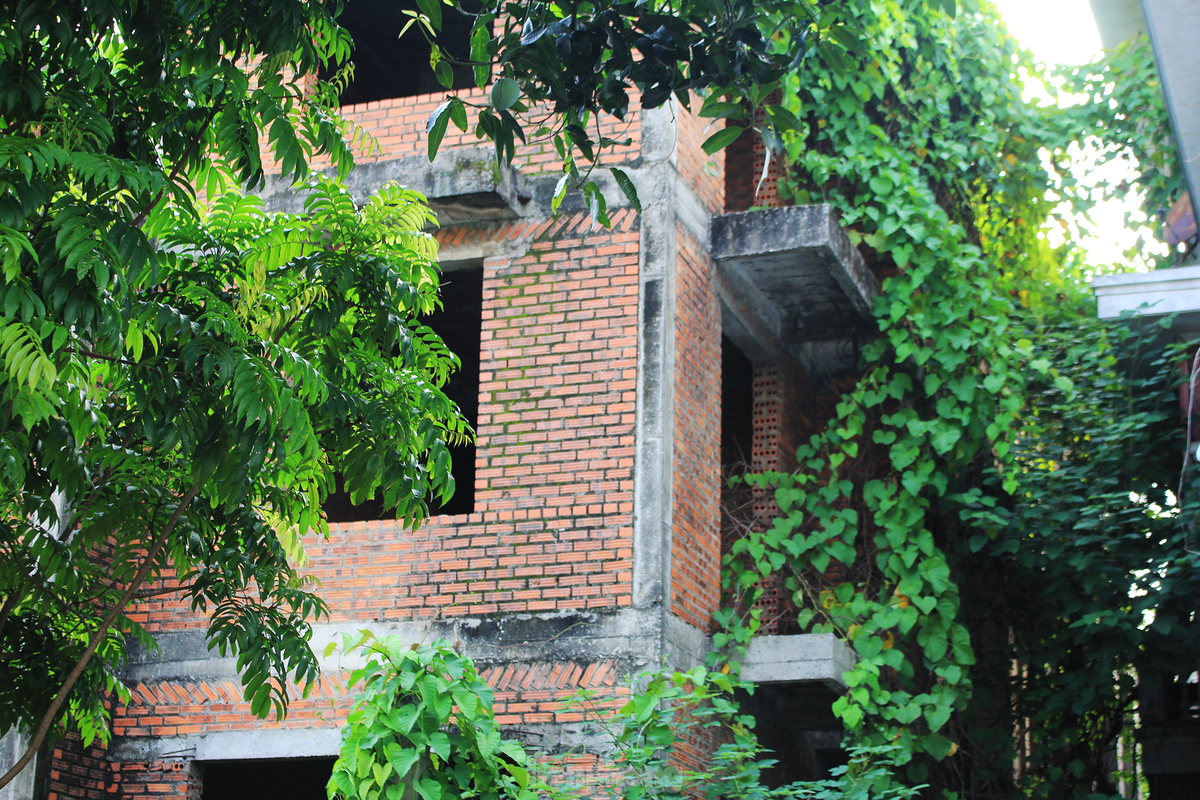 Do không có người ở, nên các biệt thự xây thô bị dây leo, cỏ dại bao vây.