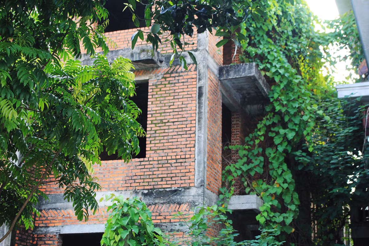 Do không có người ở, nên các biệt thự xây thô bị dây leo, cỏ dại bao vây.