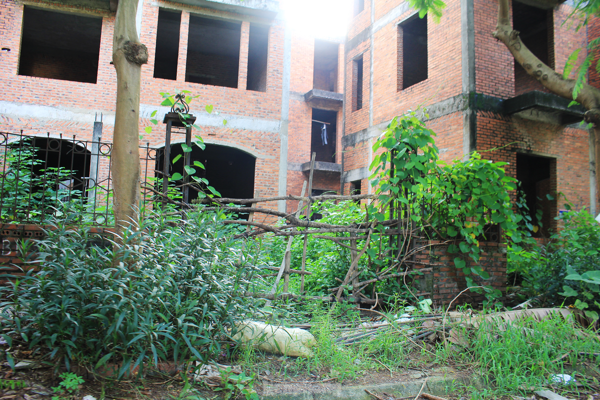 Công viên cây xanh của Khu đô thị cỏ mọc tràn lan, không được dọn dẹp, quét tước.