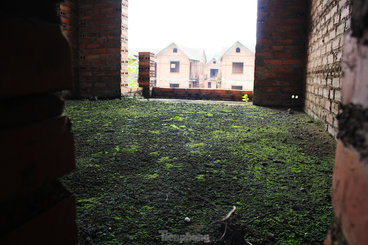 Theo các chuyên gia, ở Việt Nam, nhà đầu tư hay chủ đầu tư có kinh nghiệm không nhiều, nên dẫn đến việc đưa ra dự án không đúng thời điểm và trở thành “dự án chết”. Trong khi đó, trao đổi với Tiền Phong, ông Lê Hoàng Châu, Chủ tịch Hiệp hội Bất động sản TPHCM từng cho biết, trong phân khúc đất nền, người mua phần nhiều là nhà đầu tư lướt sóng, nên mới có tình trạng dự án đã xong nhưng bị bỏ hoang...