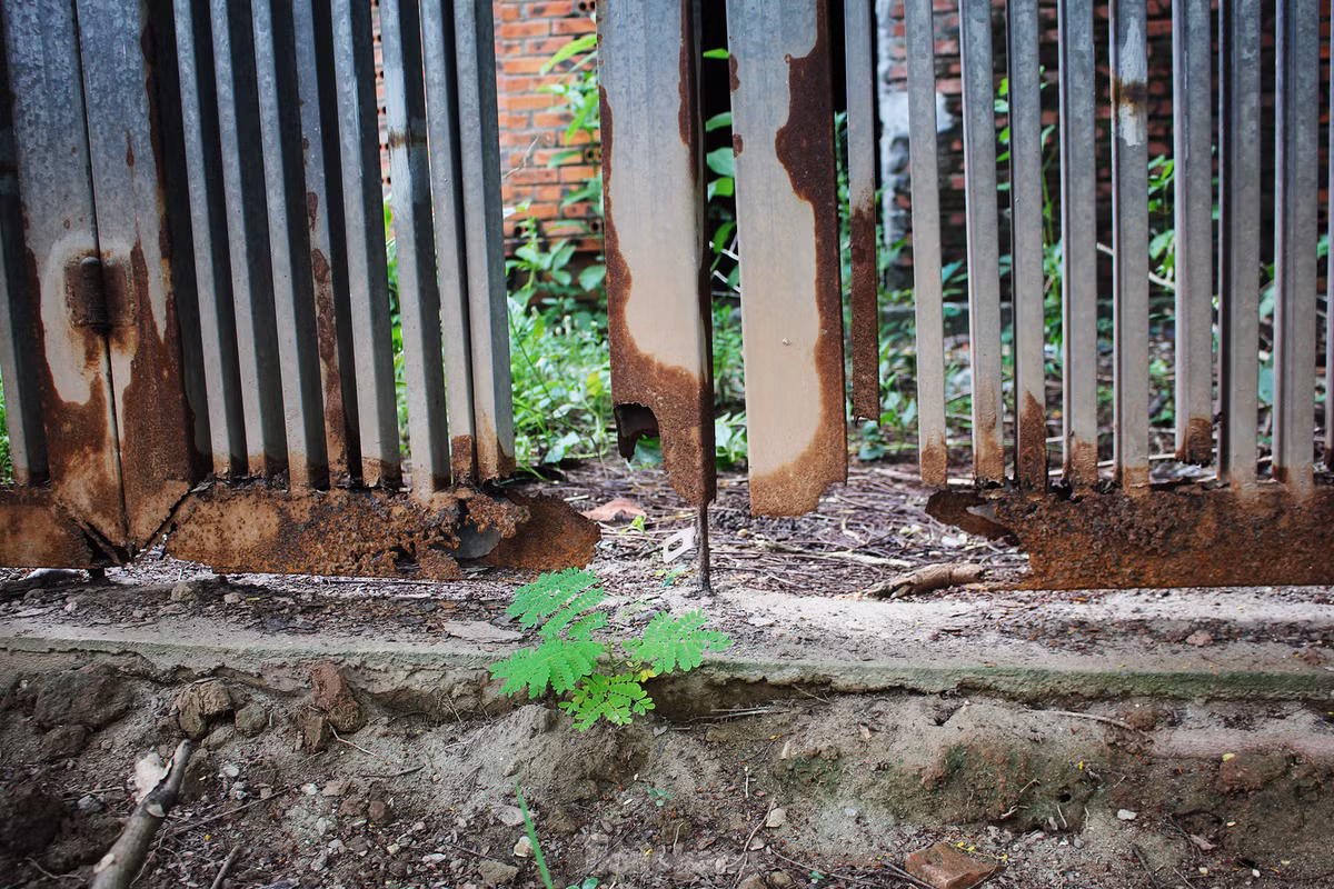 Người dân sống quanh khu đô thị này cho biết, họ không dám đi qua khu đô thị vào buổi tối vì khu này quá rậm rạp và thường xuyên là nơi tụ tập của các đối tượng xấu.