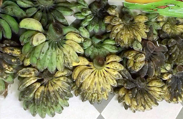 Trên chợ mạng, chuối sáp được bán với giá từ 40.000-60.000 đồng/kg, nếu mua theo combo thì giá rẻ hơn