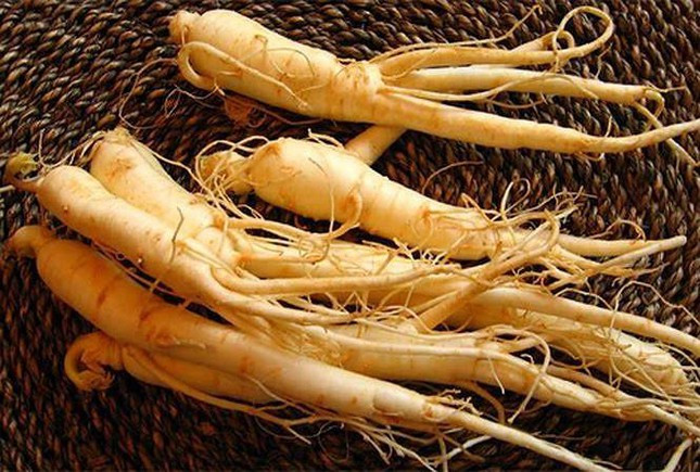 Nhan sam dai bo nhung co the la 