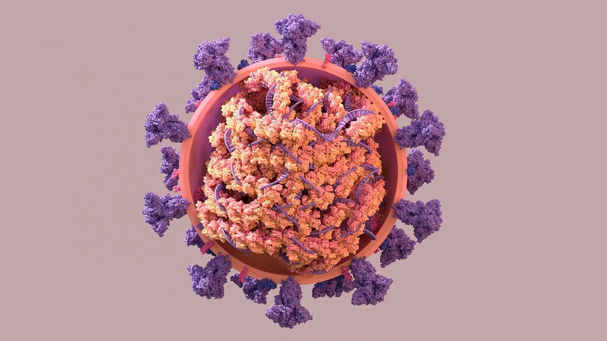 Trieu chung o nguoi nhiem bien chung BA.5-Hinh-2