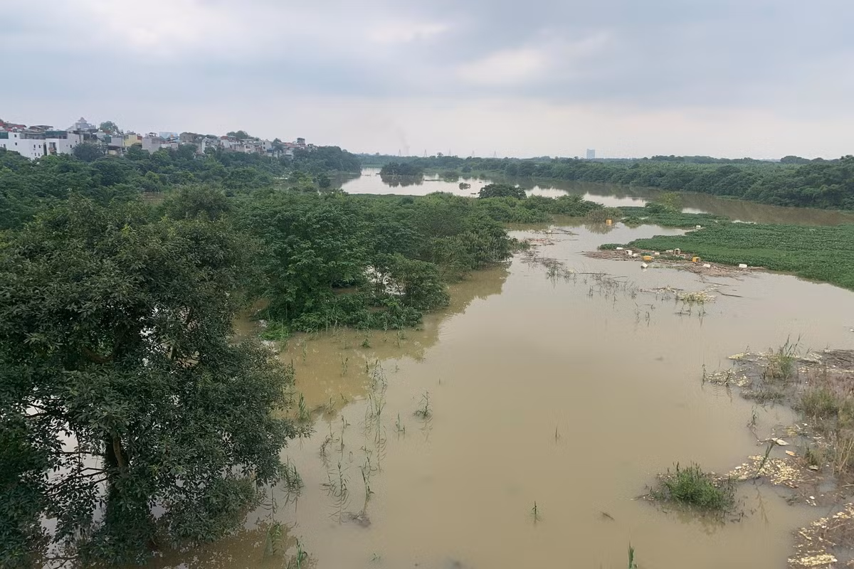 Sau những trận mưa lớn, nhà máy thủy điện Hòa Bình xả lũ 4 cửa đáy khiến mực nước sông Hồng chỉ trong một ngày đã dâng lên rất cao, xấp xỉ 6 m, dưới mức báo động 1 là 3,5 m.