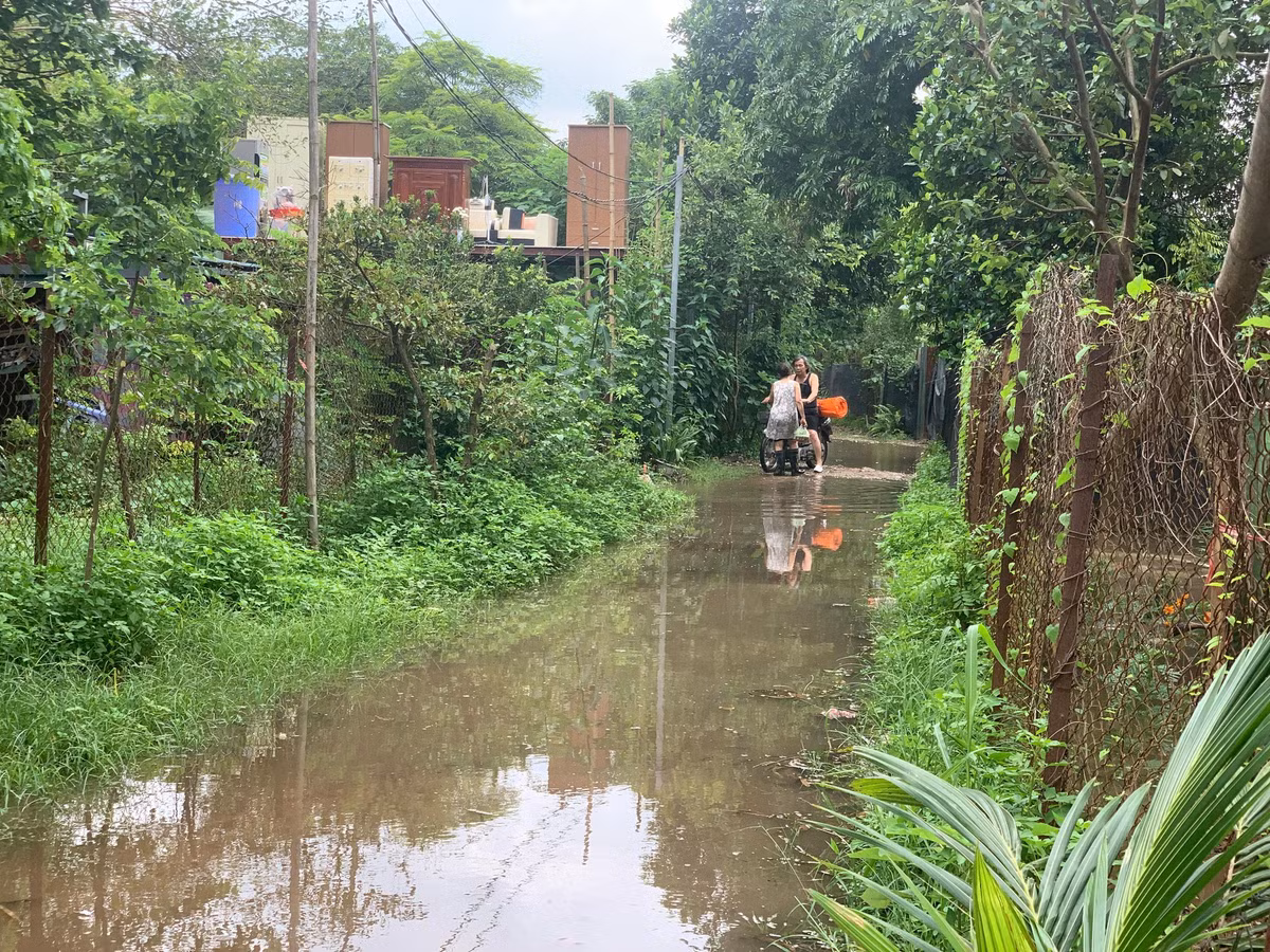 Nhiều lối đi tại khu vực bãi giữa ngập nước.