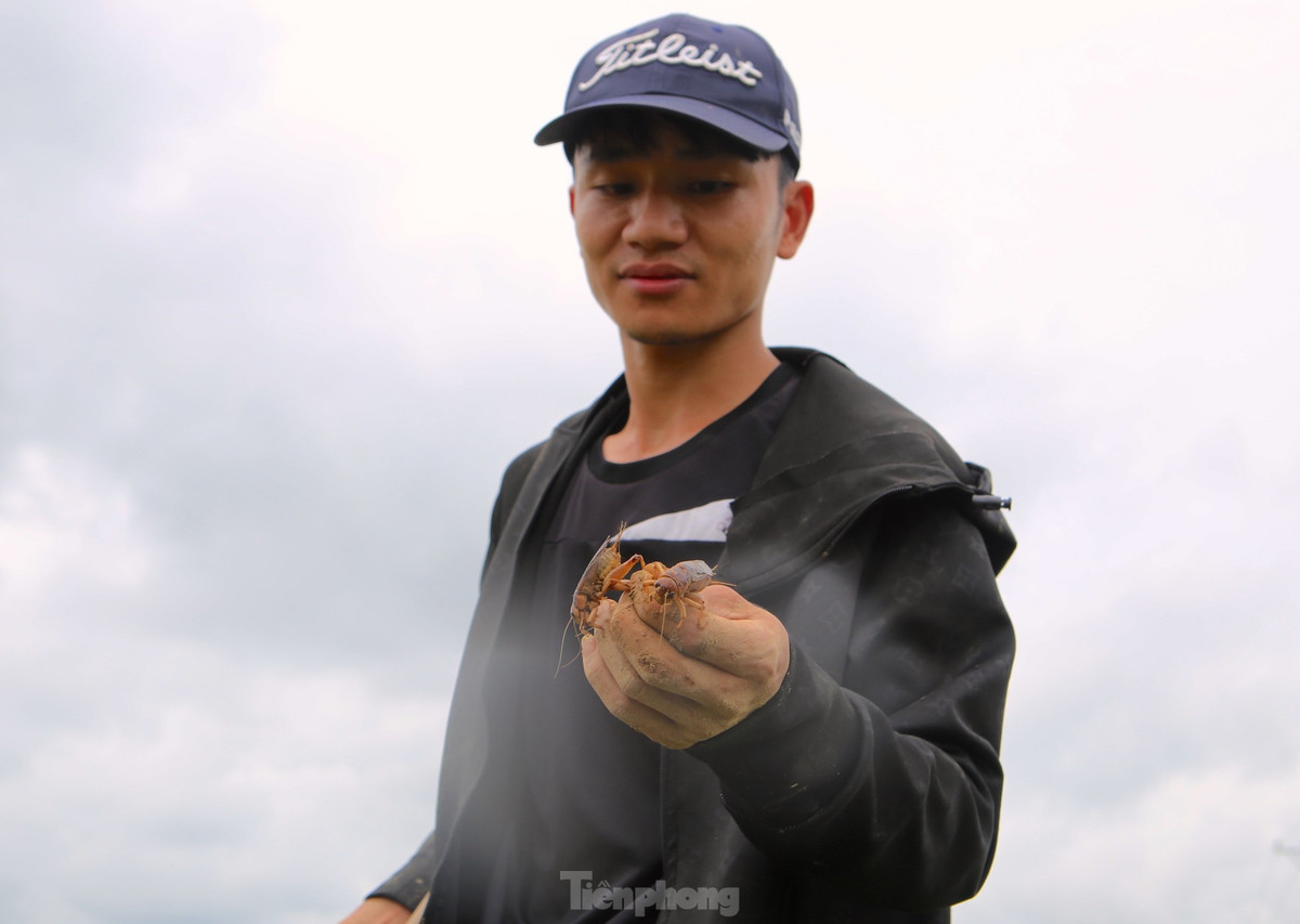 "Dế rất khôn, chúng thường sống và trú ẩn ở ngách chính. Khi bị tấn công hoặc gặp những đợt mưa lũ ngập nước nó sẽ chạy sang ngách phụ để lẩn trốn. Vì thế khi bắt phải có kinh nghiệm, nếu không thì không biết nó lẩn trốn ở vị trí nào. Đặc biệt việc dùng xẻng đào đất cũng phải căn chỉnh, vì nếu không sẽ dễ chắn đôi thân của nó", anh Phạm Quang Thiết (trú tại xã Sơn Bằng) nói.