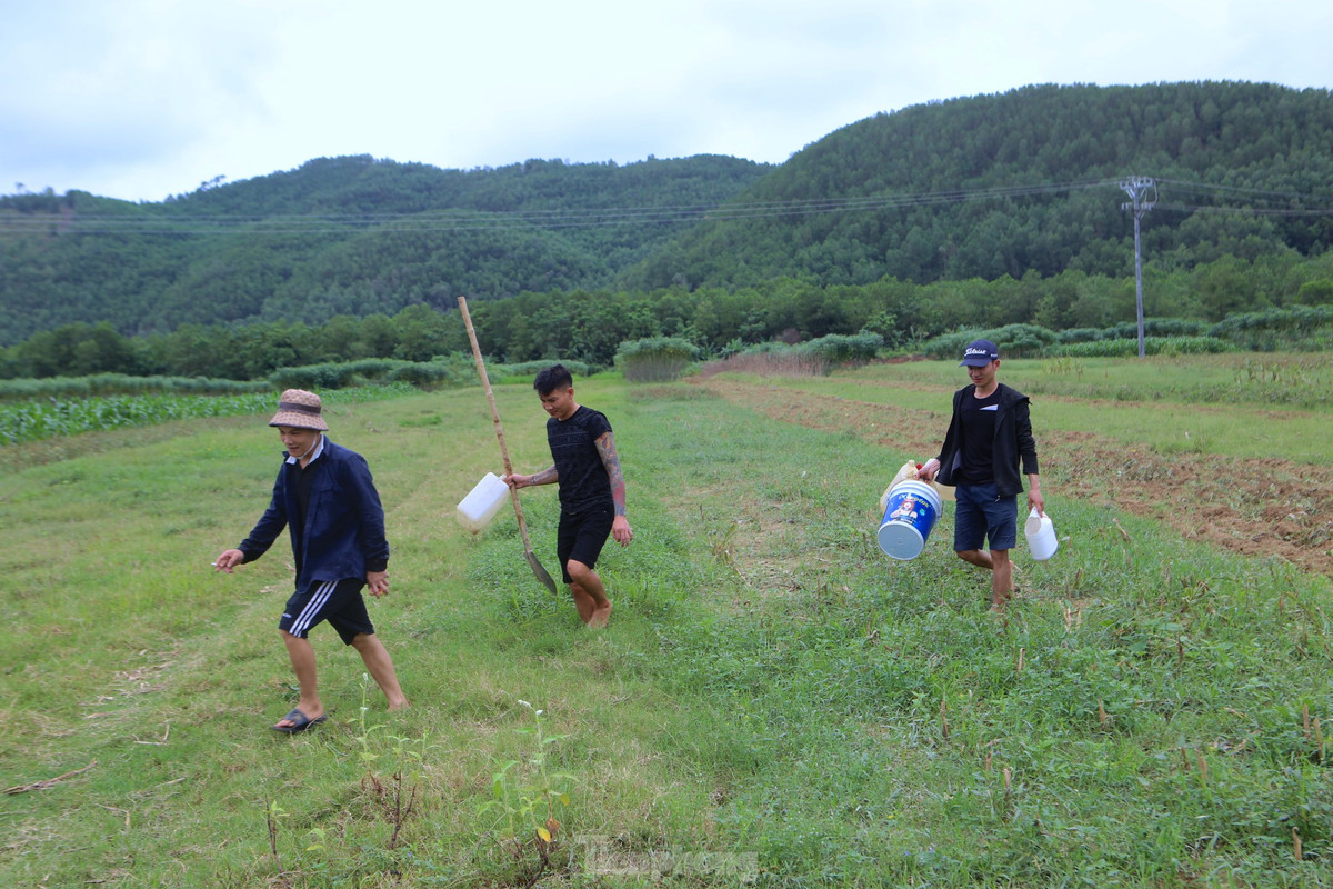 Họ thường đi từng tốp, mang theo dụng cụ là nước và xẻng. Chỉ với dụng cụ đơn giản, mùa này người dân dễ dàng bắt dế về chế biến làm thực phẩm hoặc đem bán kiếm thêm thu nhập.