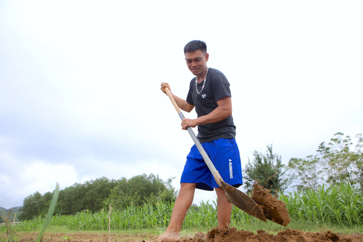 Sáng sớm, anh Nguyễn Anh Đức (39 tuổi, trú tại thị trấn Phố Châu) cùng nhóm bạn đến các cánh đồng mùa trước trồng hoa màu của người dân ở xã Sơn Trung để bắt dế. Khi thấy hang, anh sẽ đưa tay kiểm tra nơi dế ở theo hướng nào rồi đổ nước, sau đó dùng xẻng chắn ngang hang dế.