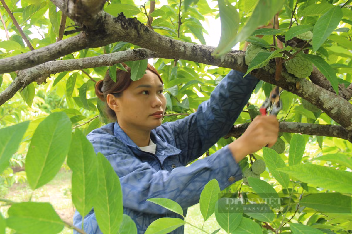 Vo chong 9X o Ninh Binh bo pho ve que trong na dai