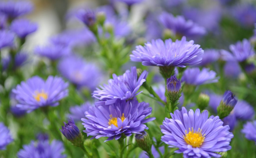 Nguoi co ngay sinh Am lich ket thuc bang 3 so nay cua na tran tre-Hinh-3