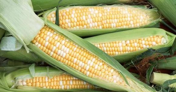 4 nguoi nay nen co gang an ngo it nhat co the-Hinh-8