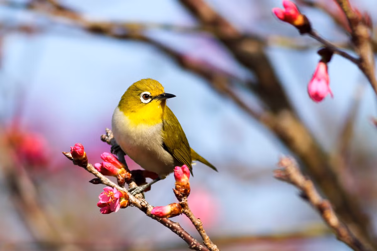 Cuoc song sang trang: 4 con giap kiem tien sieu dinh cuoi thang 7 Am-Hinh-3