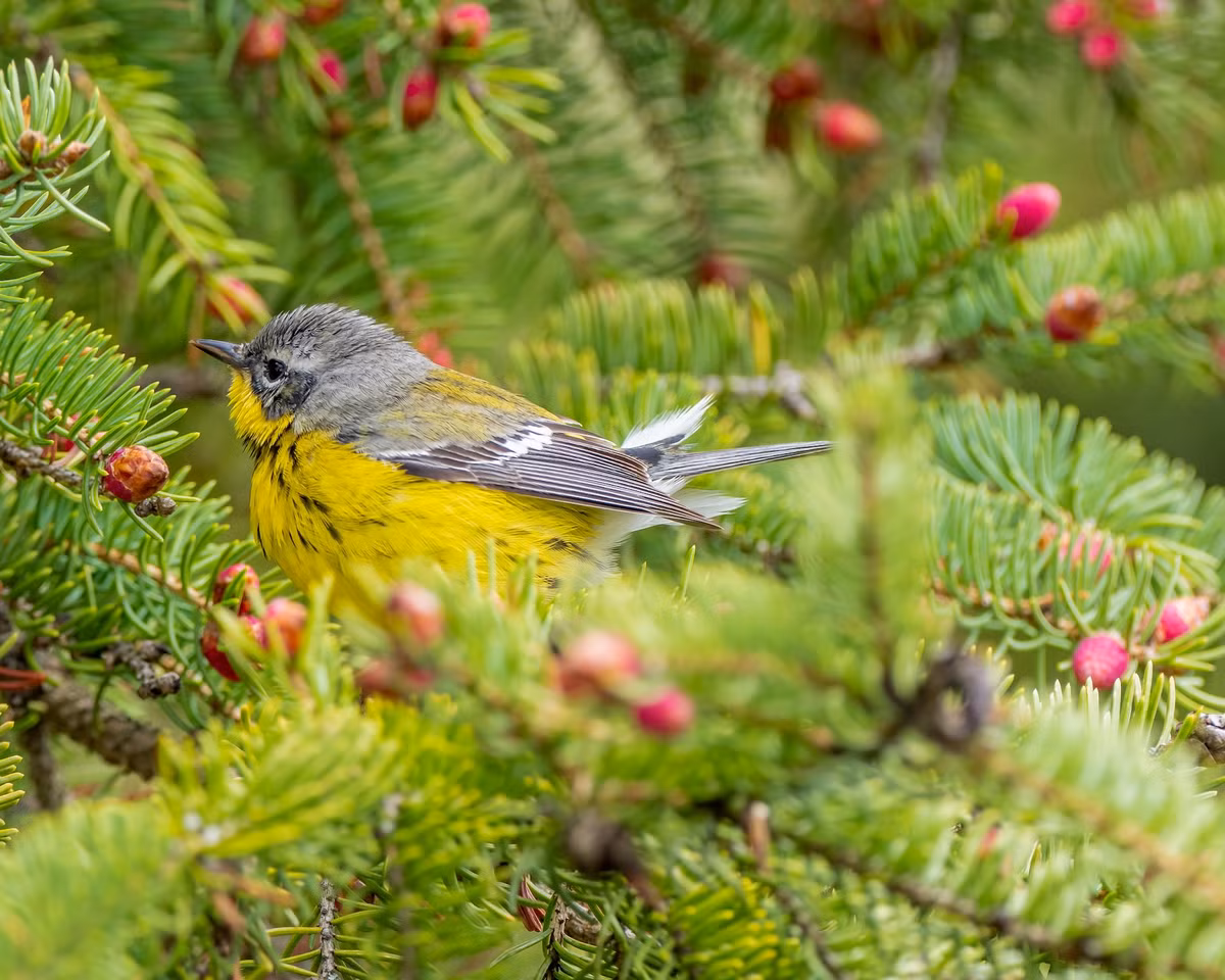 Cuoc song sang trang: 4 con giap kiem tien sieu dinh cuoi thang 7 Am