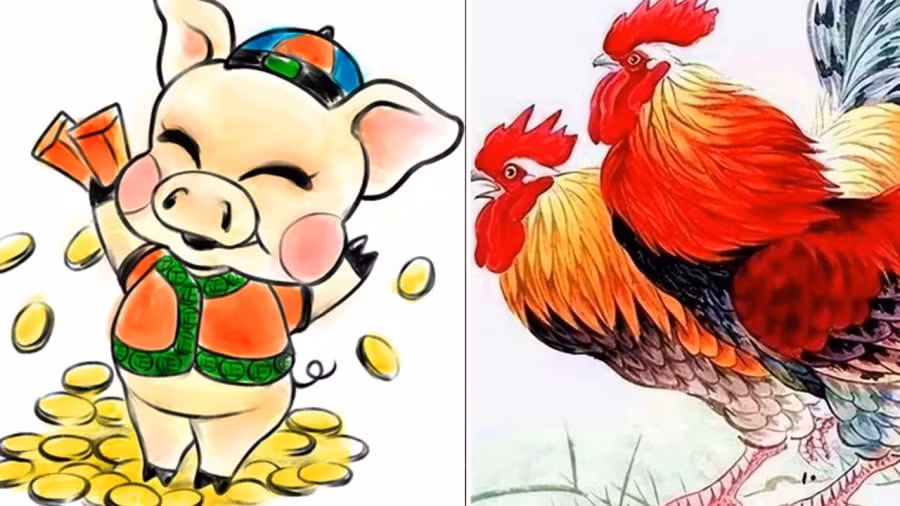  Tuổi Hợi. Nhắc đến con giáp giàu có trước năm 2024, không thể không nói tới người tuổi Hợi.