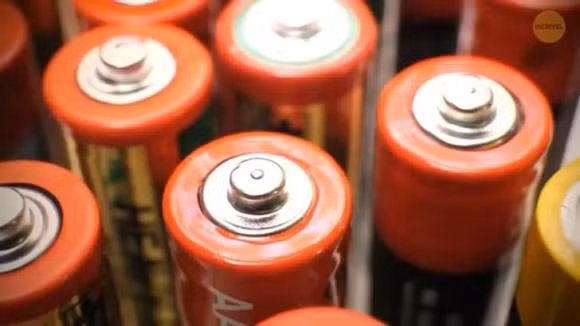 Tai sao o co dau nhon + 19 kien thuc an giau ma chi 1% biet-Hinh-17