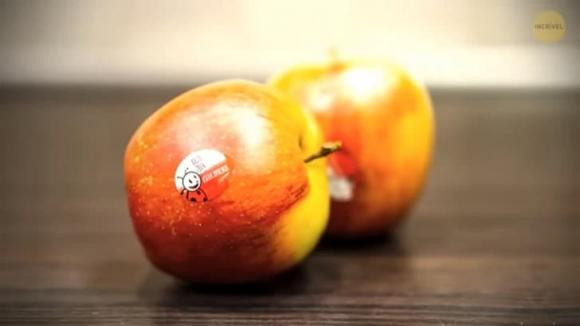 Tai sao o co dau nhon + 19 kien thuc an giau ma chi 1% biet-Hinh-20