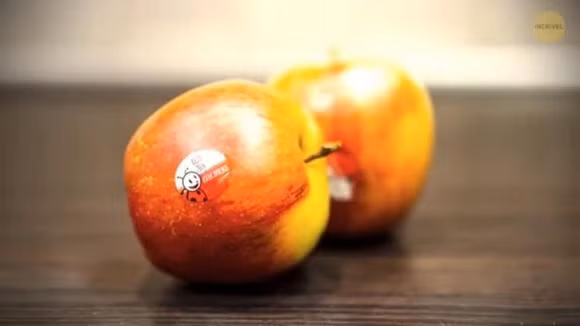 Tai sao o co dau nhon + 19 kien thuc an giau ma chi 1% biet-Hinh-20