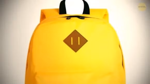 Tai sao o co dau nhon + 19 kien thuc an giau ma chi 1% biet-Hinh-4