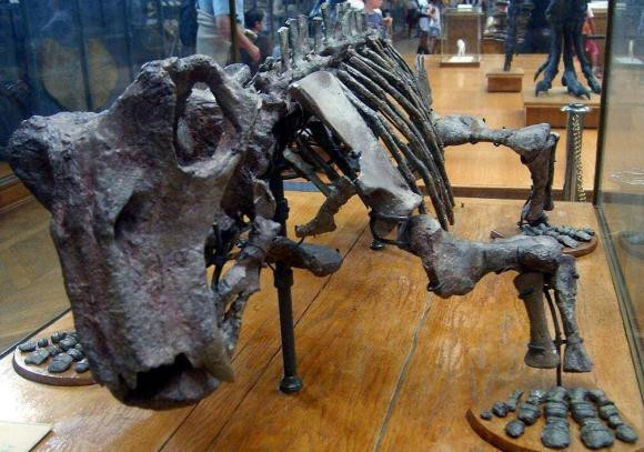 Truoc khung long, ai la lanh chua cai tri Trai Dat?-Hinh-4