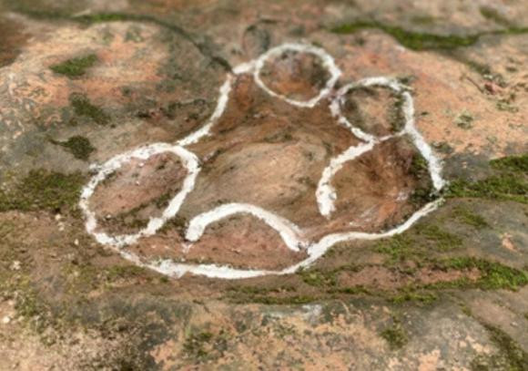 Truoc khung long, ai la lanh chua cai tri Trai Dat?