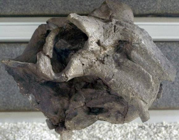 Truoc khung long, ai la lanh chua cai tri Trai Dat?-Hinh-9