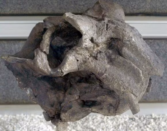 Truoc khung long, ai la lanh chua cai tri Trai Dat?-Hinh-9