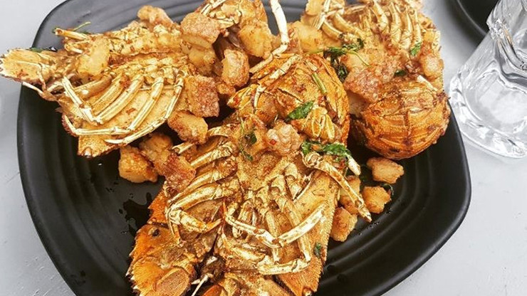 Số lượng đánh bắt loại tôm này cũng không được nhiều như tôm hùm, hay những loại tôm khác nên giá cả vô cùng đắt đỏ.