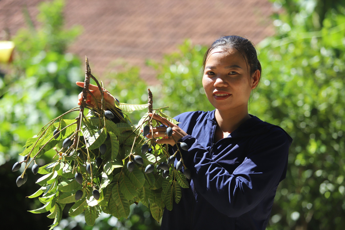 Hai thue thu qua dac san den si, nong dan dut tui tien trieu-Hinh-3