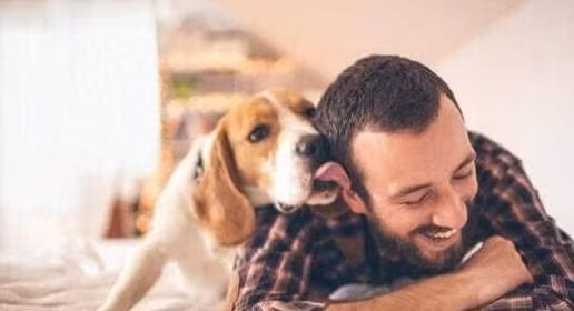 Neu cho bi lac, hay thu 4 phuong phap nay, cho se som tim ve-Hinh-2