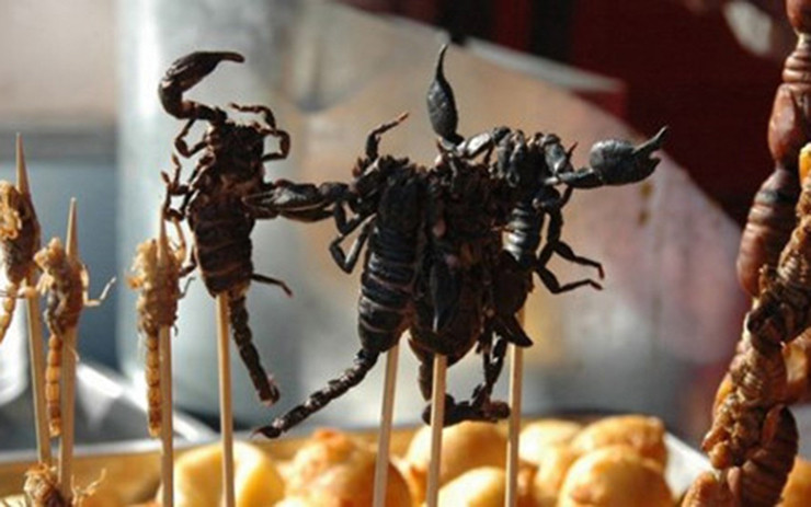 Ngoài bọ cạp chiên giòn để thay đổi và làm tăng thêm khẩu vị, người ta còn sáng tạo thêm nhiều món từ bọ cạp Bảy Núi như bọ cạp rang muối, bọ cạp xiên que nướng, bọ cạp xào sả ớt, bọ cạp sữa chiên, mỳ xào bọ cạp, bọ cạp chiên bơ…