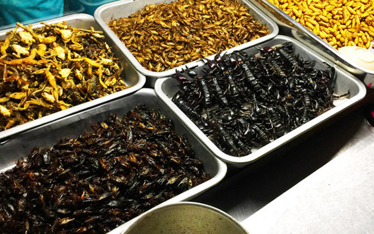 Ít ai biết được rằng, giờ đây chúng là đặc sản nổi tiếng ở Bảy Núi, An Giang