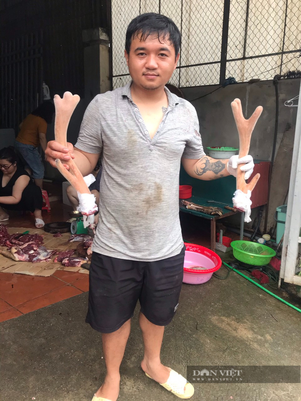 Nuôi hươu sao, anh nông dân 9X Lai Châu lãi tiền tỷ/năm - Hình 7 Nuoi huou sao, anh nong dan 9X Lai Chau lai tien ty/nam-Hinh-7