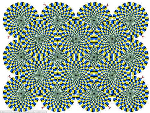 Những hình ảnh gây ảo giác được tạo ra bởi cựu nhà tâm lý học động vật, Giáo sư Akiyoshi Kitaoka từ Đại học Ritsumseikan, Tokyo, Nhật Bản lấy ý tưởng khi ông nghiên cứu những con khỉ trong một viện khoa học thần kinh. Ảnh ảo thị rắn cuốn như trong hình được cảnh báo có thể gây ra cảm giác buồn nôn cho người xem.